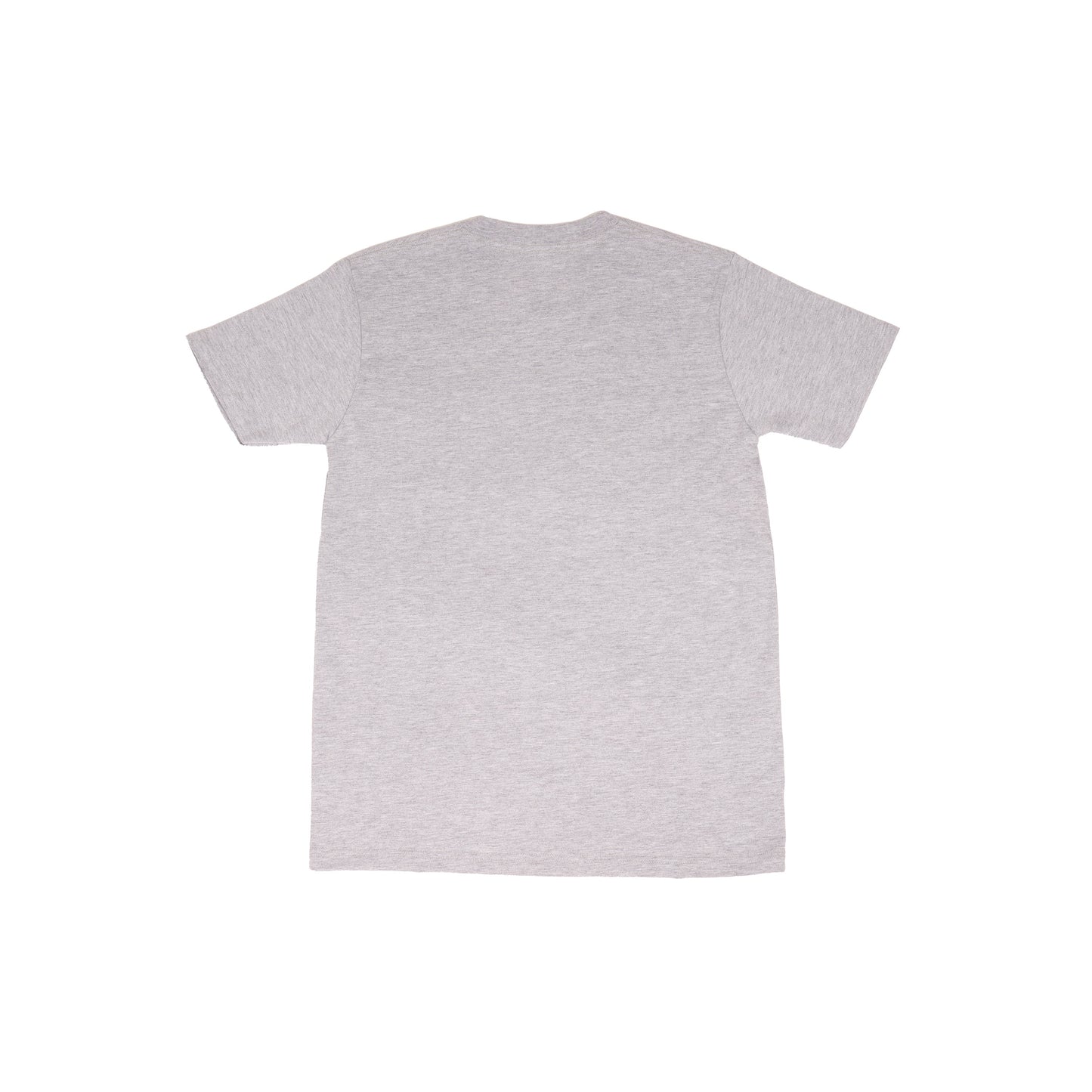 AZA x DBL T-Shirt Varsity Series EST 2004 - Misty Grey