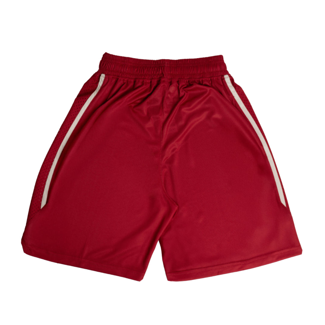 AZA x DBL Blaze Manga Series Basketball Pants - Maroon