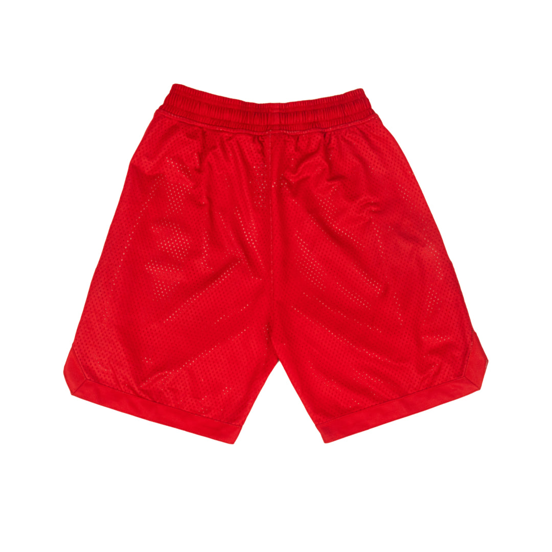 AZA x DBL Dreamers Alternate Basketball Pants - Red
