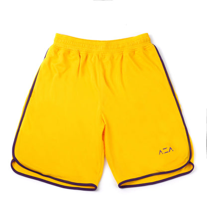 AZA Basketball Icon Shorts - Yellow/Purple